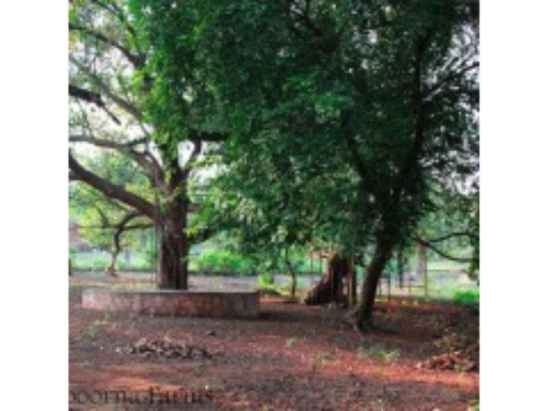 Annapoorna Farms Villa 6Bhk Khopoli Exteriér fotografie